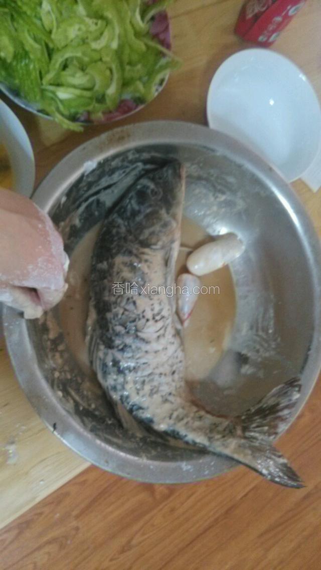 把鱼裹上一层淀粉和豆粉，均匀