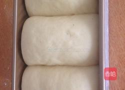 田园吐司的做法图解4