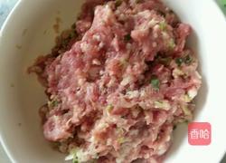 红烧狮子头的做法图解2