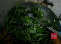炝炒空心菜的做法图解4