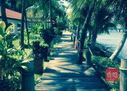 西式香煎三文鱼的做法图解3