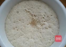 烤茴香馅包子。的做法图解1