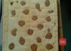 Speckled Cake Roll Recipe Illustration 12