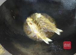 酱焖鲫鱼的做法图解3