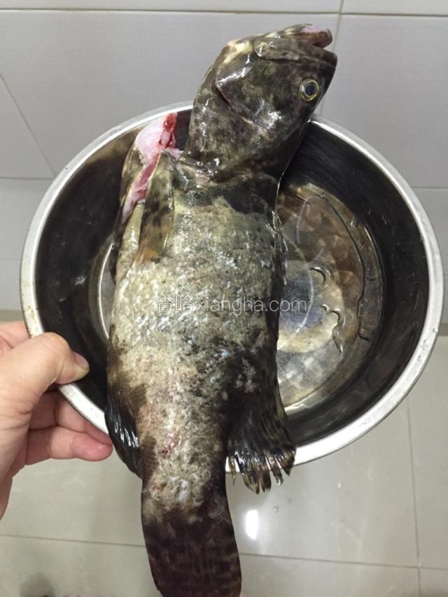 石斑一条，洗干净，备用