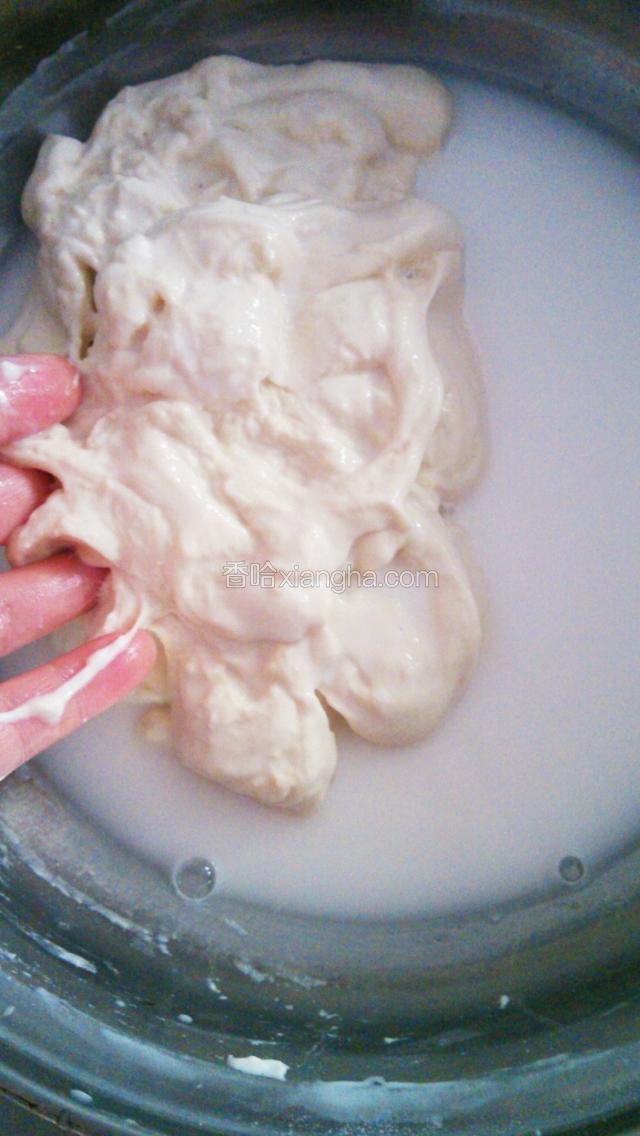 全部面粉到入容器，加适量水用筷子搅拌（水分多次加入）成雪花状，接着用手和面团软一点也没关系。盖上盖子，或湿布静发1小时。准备好1L的清水。分多次加到发好的面团里洗面，不停的抓。