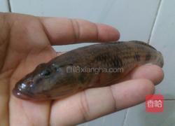 鱼汤浸紫蕨菜的做法图解2