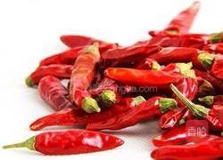 上海青的做法图解3