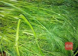 茴香豆（改良版）的做法图解5