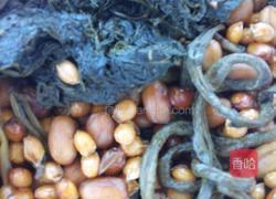 茴香豆（改良版）的做法图解7