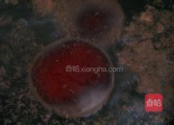 九菜一汤的做法图解4