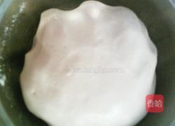 红豆馅芝麻饼的做法图解5