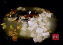 鲫鱼豆腐汤的做法图解5