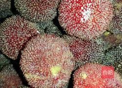 蜜汁杨梅的做法图解1