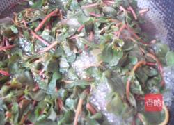 凉拌蒜泥马齿苋的做法图解3