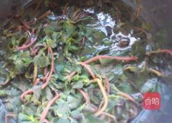 凉拌蒜泥马齿苋的做法图解4