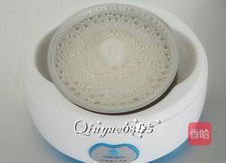 谷物果粒酸奶 的做法图解8