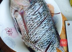 红烧罗非鱼的做法图解1