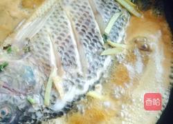 红烧罗非鱼的做法图解4