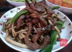 茶树菇炒牛柳的做法图解7