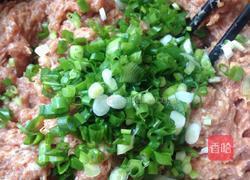 红烧肉丸的做法图解3