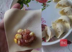 甜玉米鲜肉馄炖(简单版)的做法图解5