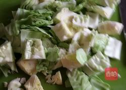 现做现吃的辣圆白菜的做法图解4