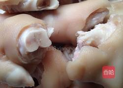 香糟猪手的做法图解2