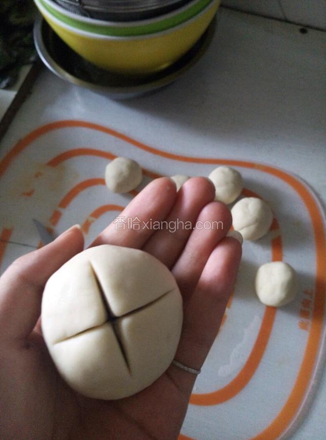 选你喜欢的地方用小刀划个十字型的口子