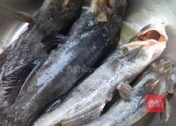 昂刺鱼豆腐汤的做法图解3