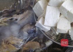 昂刺鱼豆腐汤的做法图解8