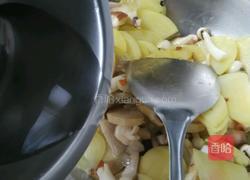 杂菌土豆片的做法图解6