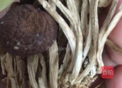 茶树菇筒骨汤的做法图解1