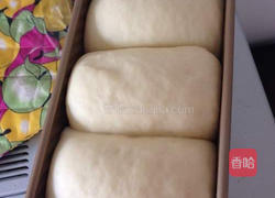 炼奶吐司（中种法）的做法图解6