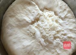 小笼包子（原创）的做法图解2