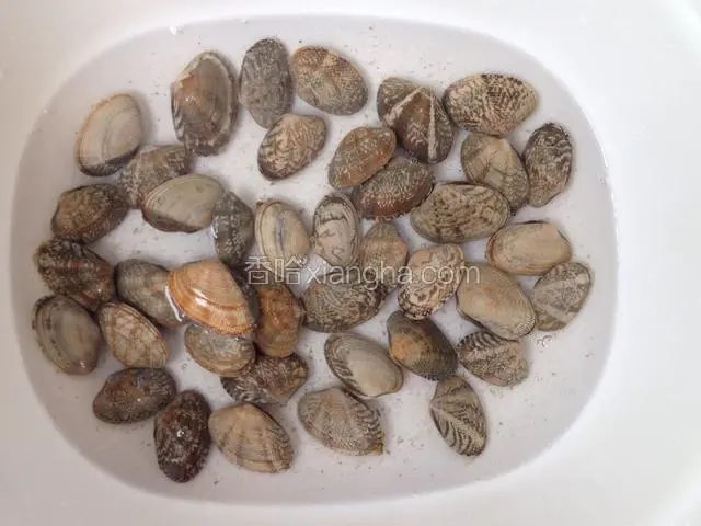 市场买回的蛤蜊带水放盆里30分钟待脏水吐出再清洗干净，最好是用两只手搓洗，这样才能彻底干净装盘备用