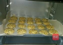 燕麦椰蓉饼干的做法图解9