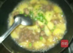 土豆鸭肉炖粉丝的做法图解5