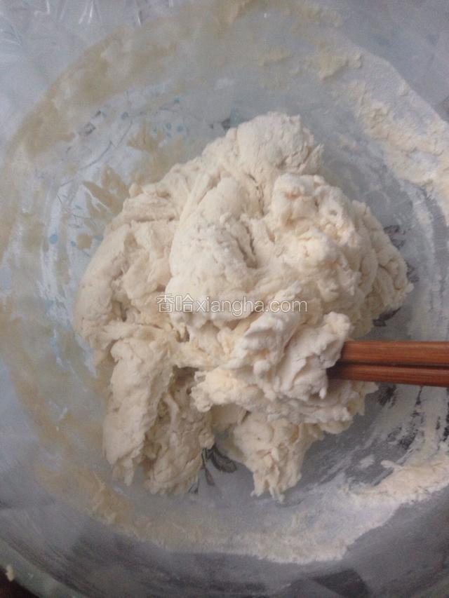 中种材料混合拌匀。成团即可。发酵至2.5倍大。