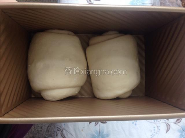 分割两份，滚圆。松弛十五分钟。手上沾点橄榄油将面团擀成长条状，卷起，再擀开成条状，由上往下卷起。放入模具。