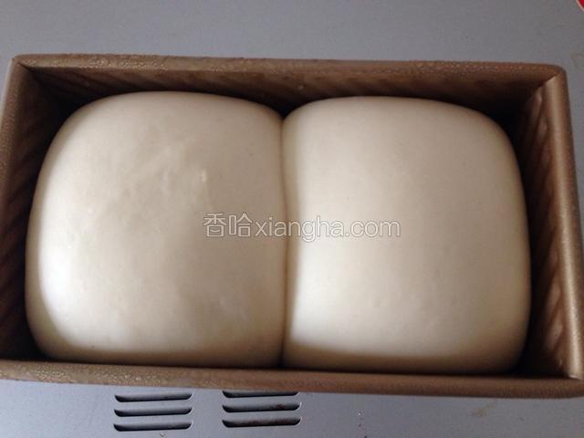 放入烤箱，同时放一大碗开水。增加温度和湿度。发酵至模具九分满。