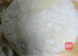 素三鲜水饺的做法图解1