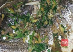 焖红鼓鱼的做法图解6