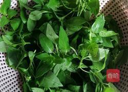 爽口荆芥的做法图解2