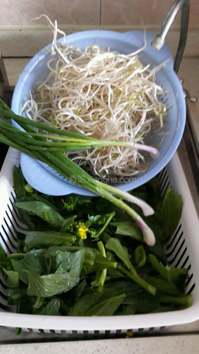 首先把青菜，豆芽，小葱，洗干净沥干水。
