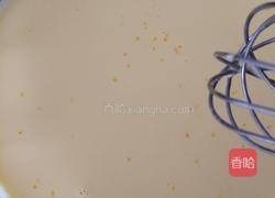 芒果冰淇淋的做法图解5