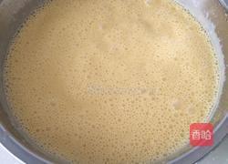 芒果冰淇淋的做法图解7