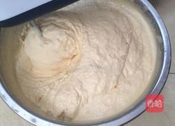 芒果冰淇淋的做法图解9