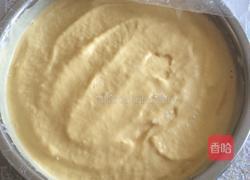 芒果冰淇淋的做法图解10