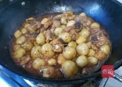 小土豆烧鸡的做法图解4